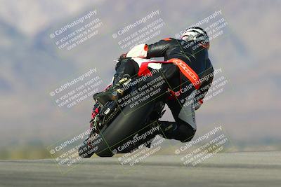 media/Jan-13-2024-SoCal Trackdays (Sat) [[9c032fe5aa]]/Turn 9 Backside (110pm)/